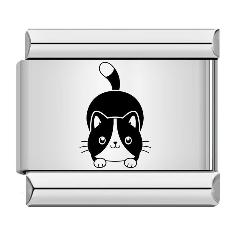 Katze
